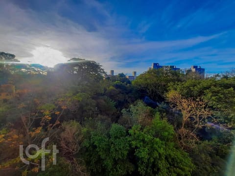 Image 4 - 264559